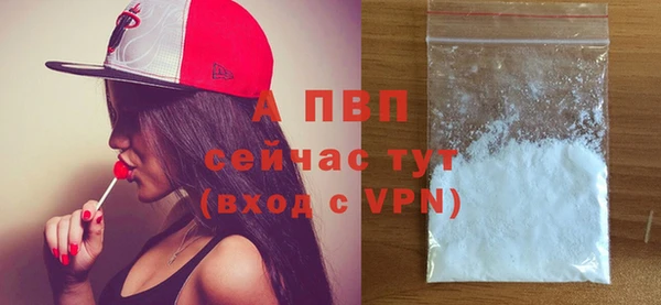 стаф Ижевск