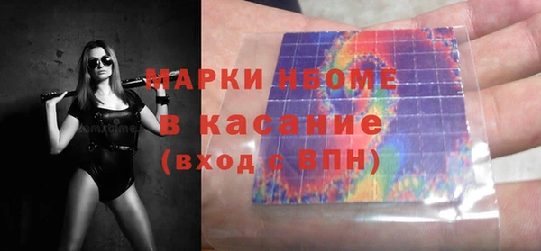 ПСИЛОЦИБИНОВЫЕ ГРИБЫ Осинники