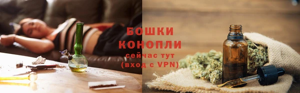 ПСИЛОЦИБИНОВЫЕ ГРИБЫ Осинники