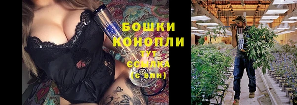 ПСИЛОЦИБИНОВЫЕ ГРИБЫ Осинники