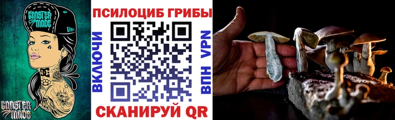 цена наркотик  Сычёвка  Псилоцибиновые грибы ЛСД 